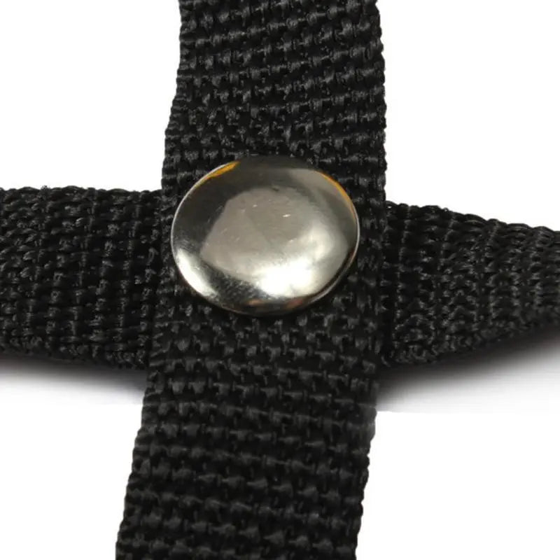 AgiliStep - TopFitness